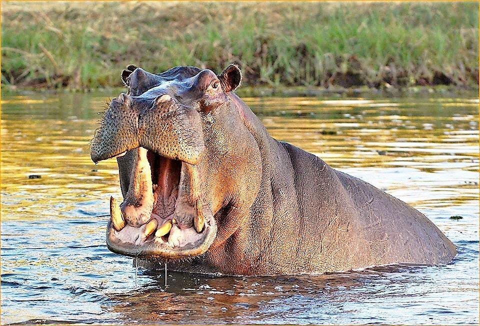 Mabalingwe Uzuri Lodge Bela-Bela Bagian luar foto